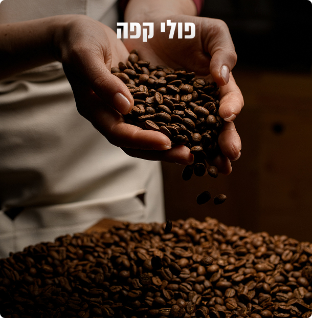 פולי קפה טריים